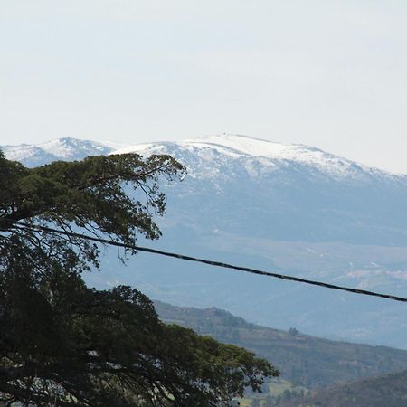 Quartos Em Vivenda Serra Da Estrela 셀로리코다바이라 외부 사진
