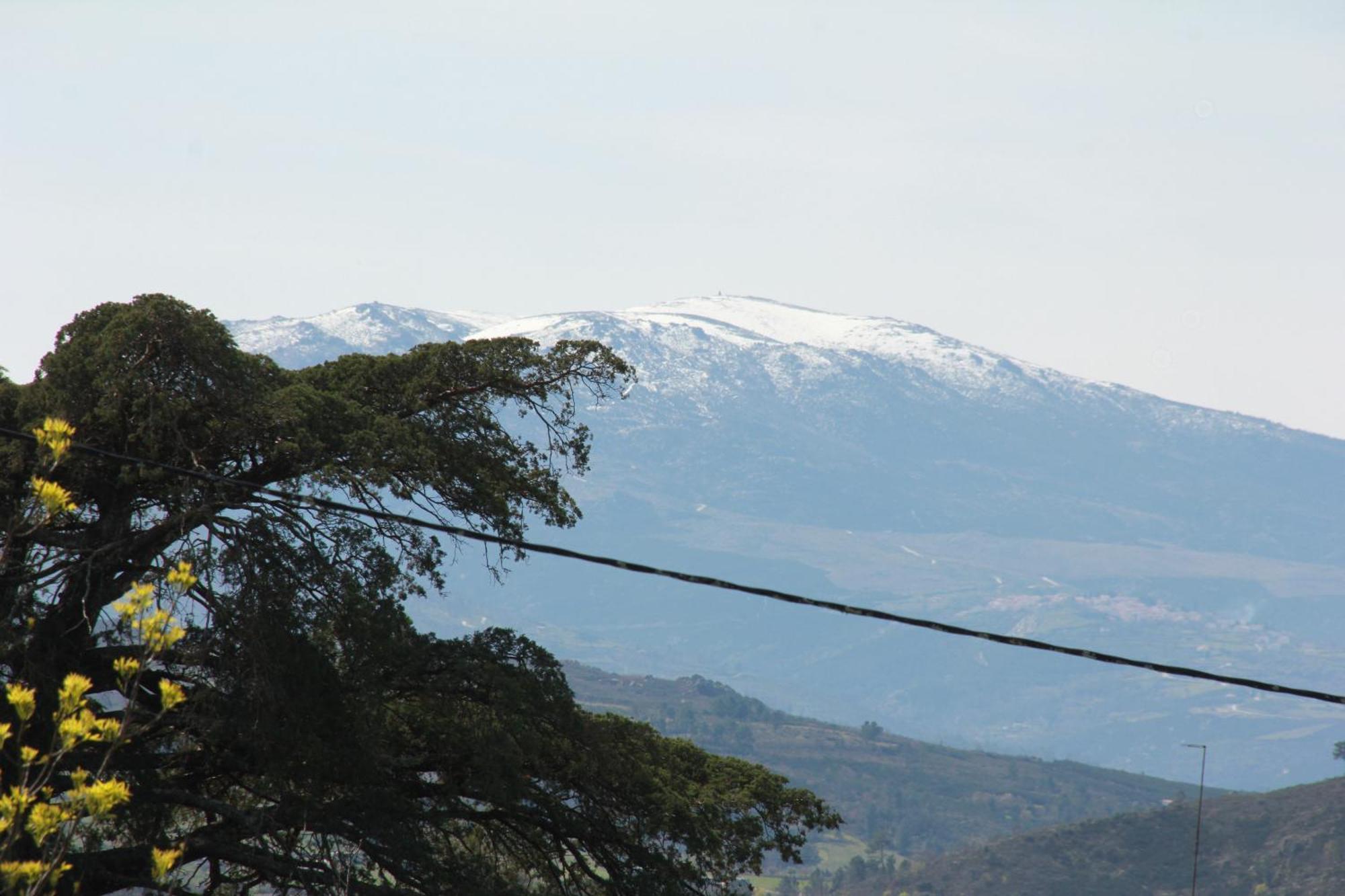 Quartos Em Vivenda Serra Da Estrela 셀로리코다바이라 외부 사진